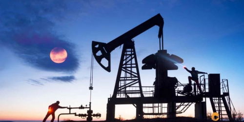 歐佩克維持產(chǎn)量不變疊加美聯(lián)儲風(fēng)險(xiǎn)預(yù)警，國際石油市場面臨復(fù)雜考驗(yàn)